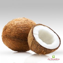 Cocco Fruta, Coco ,Coconut Fruit, prezzo per unitá